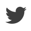Join LionShare on Twitter